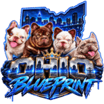 Ohio Blue Print